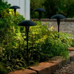 John Timberland Grant 18" High Black LED Mushroom Path Lights Set Of 2 12 John Timberland Grant 18" High Black LED Mushroom Path Lights Set Of 2 -John Timberland GUEST 27d5fc70 25c2 4f21 880d 3feaf9fbf9cf