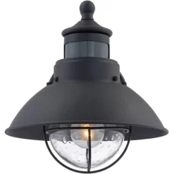 John Timberland Oberlin Rustic Farmhouse Outdoor Barn Light Fixture Black Dusk To Dawn Motion Sensor 9" Clear Seedy Glass For Exterior Deck House Yard -John Timberland GUEST 8285186c 981c 4fc6 a030 70ff96dcfcc6